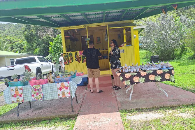 Island Tour - What this Antigua island tour is really like