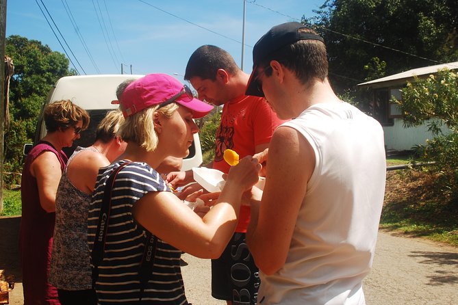 North Coast Tour - Four Antigua highlights in one compact morning