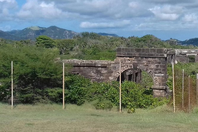 North Coast Tour - Betty’s Hope: sugar, machinery, and a difficult past