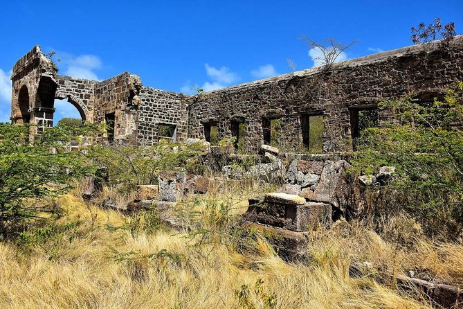 Private Snorkeling and Sightseeing Tour of Antigua - Why this private Antigua tour works so well