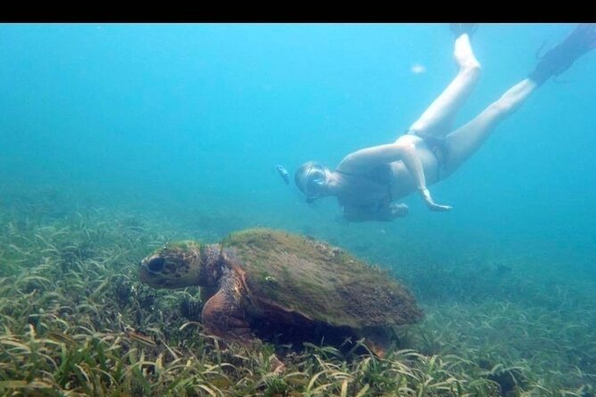 Private Snorkeling and Sightseeing Tour of Antigua - Nelson’s Dockyard: Antigua’s maritime heart