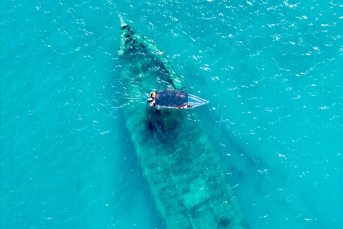 Reef Explorers Transparent Boat and Beach Tour - What makes this Antigua boat tour different