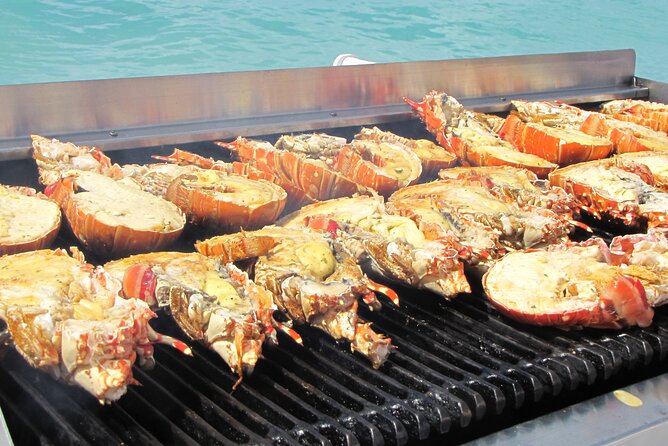 Sail and Snorkel at Cades Reef - The return sail: drinks, music, and Caribbean rhythm