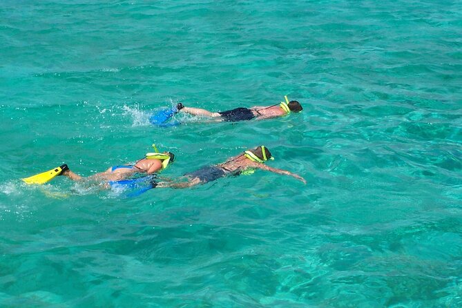 Sail and Snorkel at Cades Reef - Who should book this Cades Reef excursion?