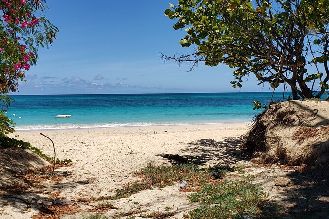 Salty Dogs UTV Adventure - The southern Antigua route, from villages to open country