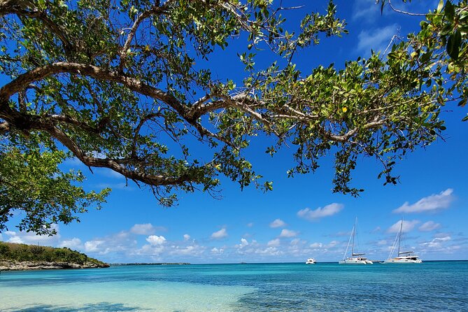 Snorkel - Lobster Lunch Cruise to Bird Island and Paradise Reef - Is $185 a fair price?