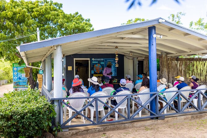 SoCoHo Eco Half Day - Mangrove Kayak & Reef Snorkeling - Is $135 a Fair Price?