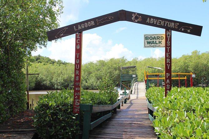 SoCoHo Eco Half Day - Mangrove Kayak & Reef Snorkeling - Who Should Book This Antigua Excursion?