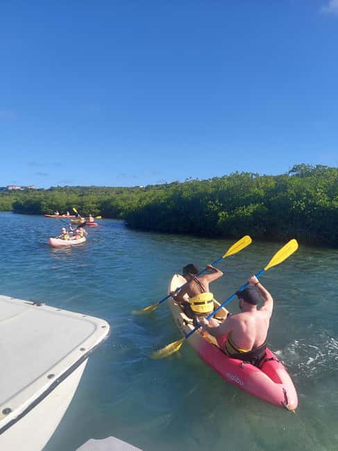 St. John's, Antigua Kayak, Snorkeling, & Beach Bird Island - Key points to know before booking