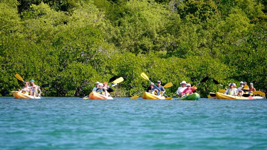 St. John's, Antigua Kayak, Snorkeling, & Beach Bird Island - Why this four-hour Antigua trip works