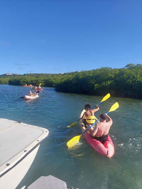 St. John's, Antigua Kayak, Snorkeling, & Beach Bird Island - Kayaking through red mangrove channels