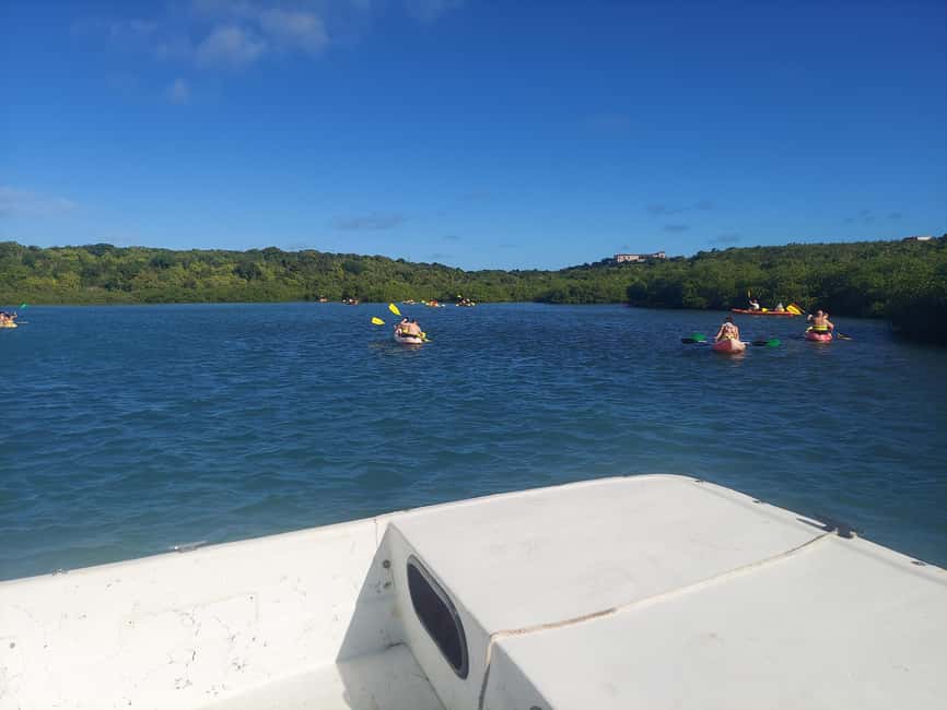 St. John's, Antigua Kayak, Snorkeling, & Beach Bird Island - Snorkeling near Great Bird Island