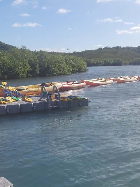 St. John's, Antigua Kayak, Snorkeling, & Beach Bird Island - Transport, timing, and what the price covers