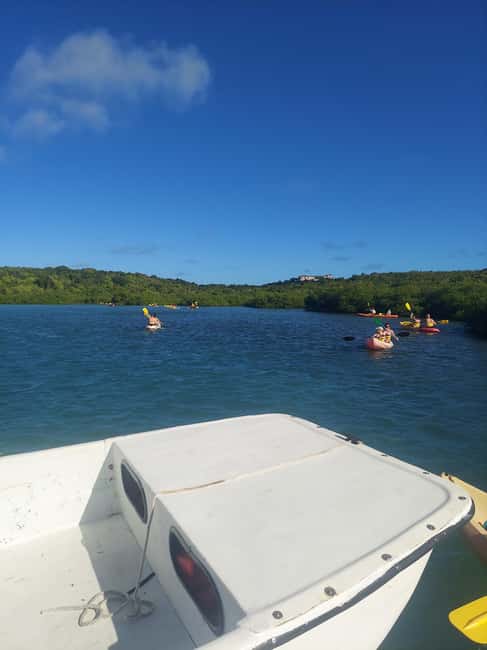 St. John's, Antigua Kayak, Snorkeling, & Beach Bird Island - Should you book it?