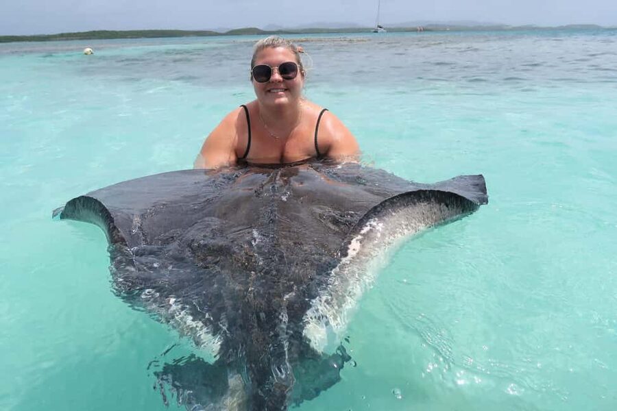 St. John's; Combo Laviscount Island & Swimming with Stingray - Key points to know before booking