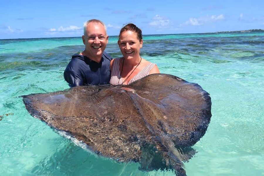 St. John's; Combo Laviscount Island & Swimming with Stingray - Laviscount Island and its giant Aldabra tortoises
