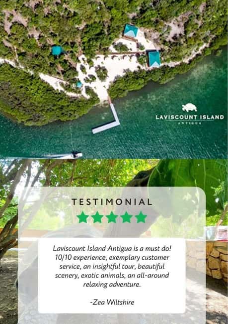 St. John's; Combo Laviscount Island & Swimming with Stingray - Should you book the Laviscount Island and Stingray City combo?