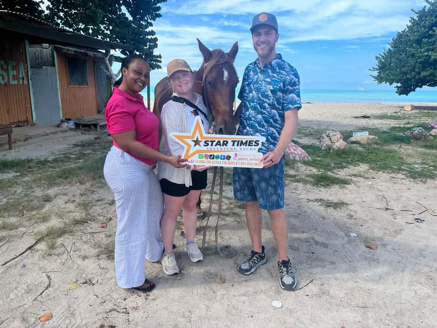 St. Johns: Horseback Riding Bareback Swim, &Fort James Beach - What the Antigua horse-and-beach experience is really like