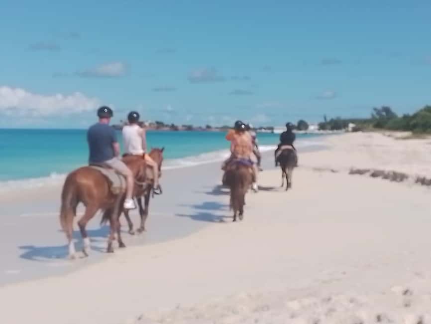 St. Johns: Horseback Riding Bareback Swim, &Fort James Beach - Who should book, and who should skip it?