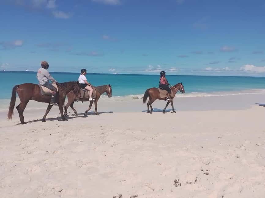 St. Johns: Horseback Riding Bareback Swim, &Fort James Beach - From Heritage Quay to Fort James Beach
