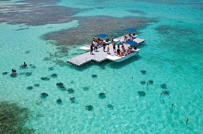 Stingray City - Is $111.81 a Fair Price?