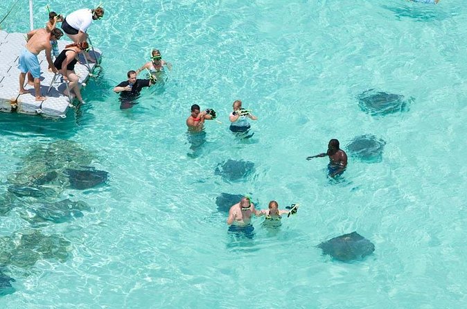Stingray City - Who Will Enjoy This Antigua Excursion?