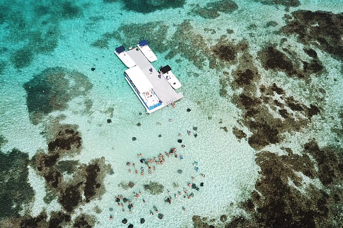 Stingray City Antigua for all the ages - ROUND TRIP INCLUDED - How the $139.90 price holds up
