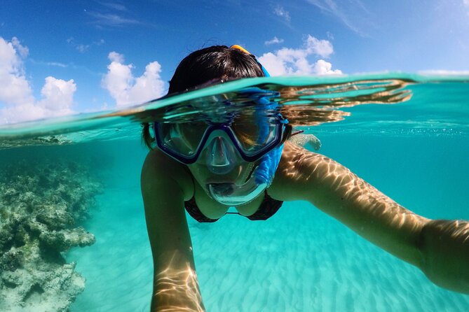Stingray City Antigua for all the ages - ROUND TRIP INCLUDED - Who will enjoy this Antigua excursion most
