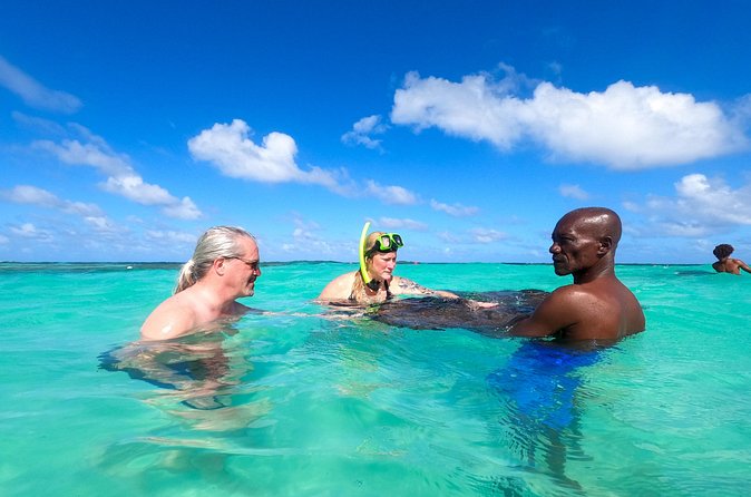Stingray City Experience Antigua - Cruise Ship Passengers Edition - Cruise timing, group size, and sea conditions