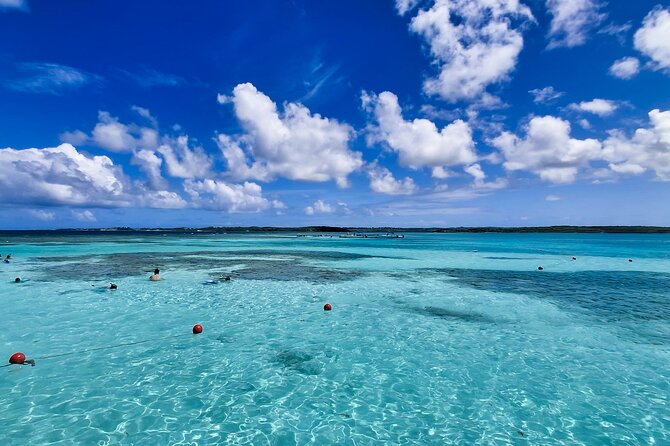 Stingray City Experience Antigua - Cruise Ship Passengers Edition - Who will enjoy this Antigua outing most