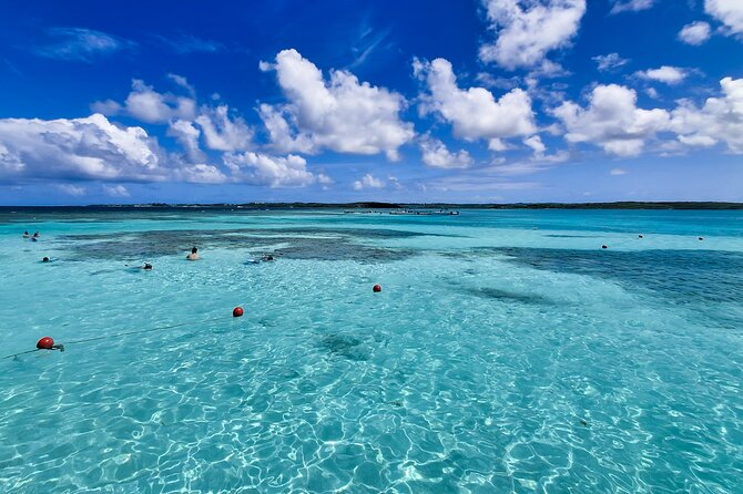 Stingray City experience, Devils Bridge and Long Bay Beach - Is $174.90 a good value?