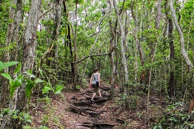 Trek Tours Hiking Experience in Antigua - Fort Berkeley combines history with harbor views