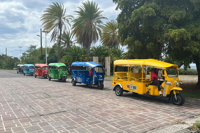 Tuk-Tuk Adventures Rainforest and Beach Hopping Tour - Fig Tree Drive and Antigua’s forested interior