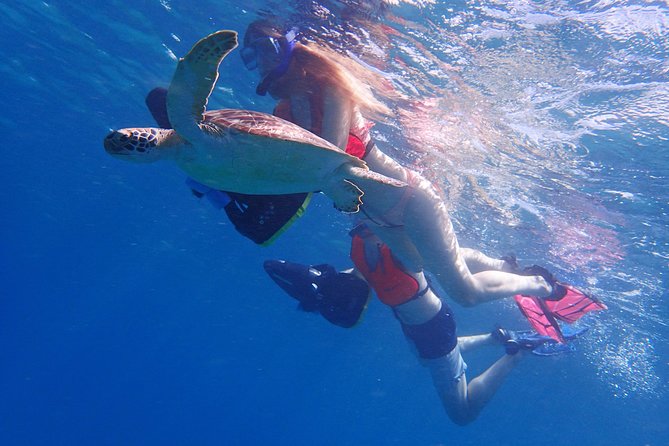 Turtle Beach Power Snorkeling Adventure - Why the sea scooter changes ordinary snorkeling